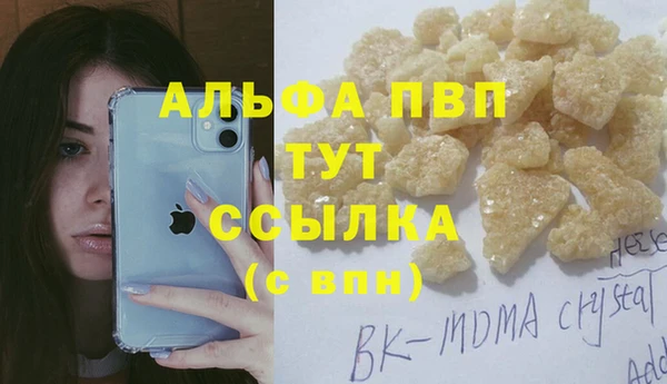 мет Алексин