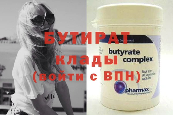 индика Ельня