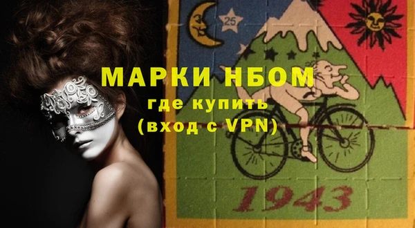 мет Алексин