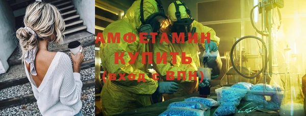 мет Алексин
