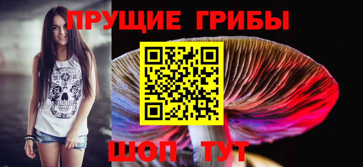 Псилоцибиновые грибы прущие грибы Бахчисарай